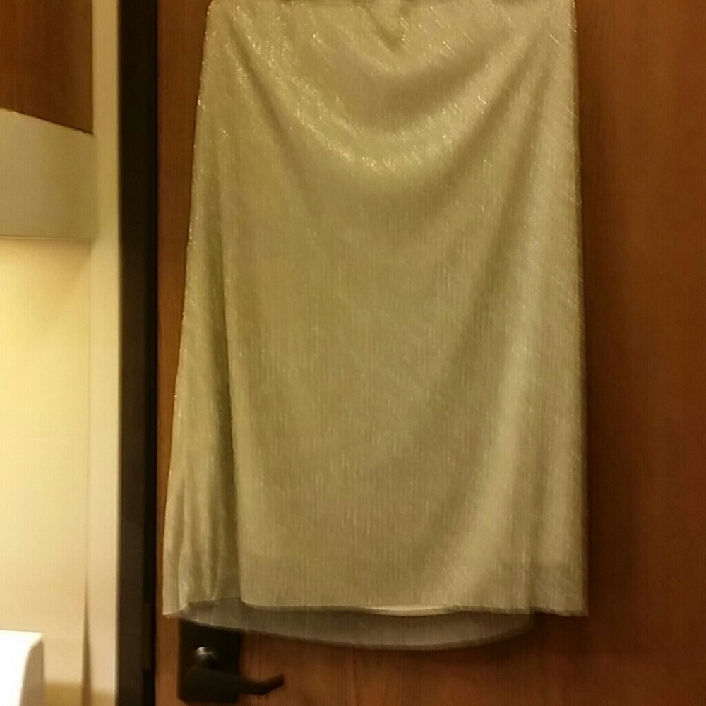 Skirt - Picture 4 of 4